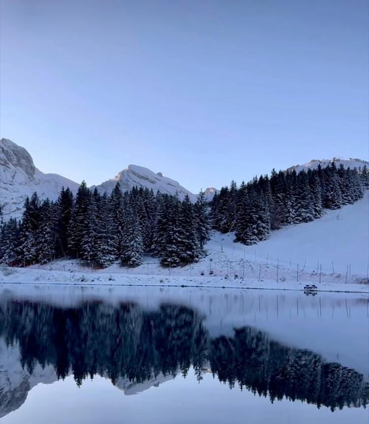 Avec Balcon, Au Pied Des Pistes Et Randos Villard-de-Lans Exterior foto